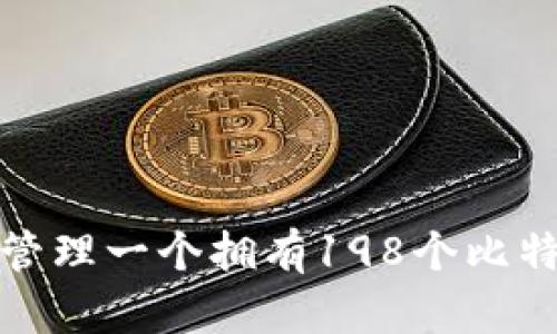 如何安全管理一个拥有198个比特币的钱包