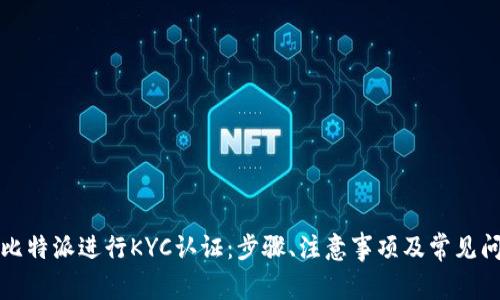 如何在比特派进行KYC认证：步骤、注意事项及常见问题解答