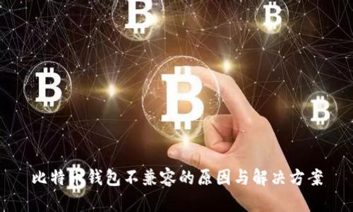 比特币钱包不兼容的原因与解决方案
