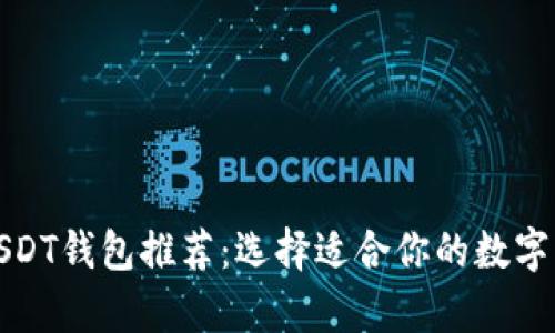 最受欢迎的USDT钱包推荐：选择适合你的数字货币存储方案