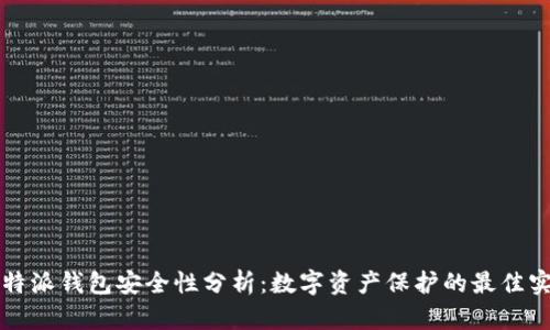 比特派钱包安全性分析：数字资产保护的最佳实践