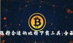 如何选择合适的比特下载