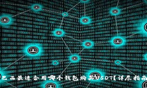 巴西最适合用哪个钱包购买USDT？详尽指南