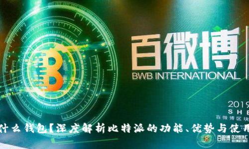比特派是什么钱包？深度解析比特派的功能、优势与使用注意事项