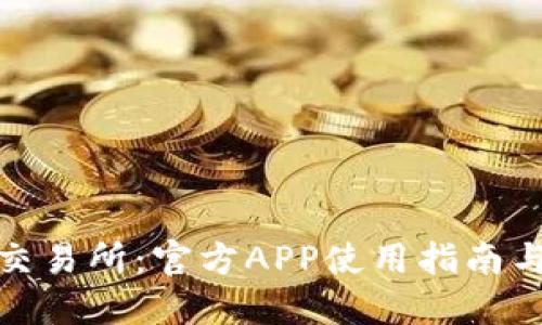 探索比特交易所：官方APP使用指南与投资策略