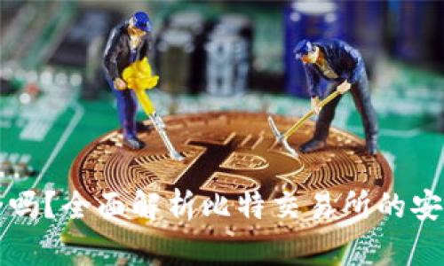 比特交易所安全吗？全面解析比特交易所的安全性与风险管理