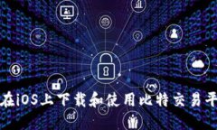 如何安全地在iOS上下载和