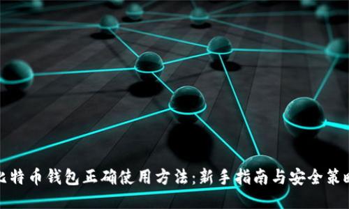 比特币钱包正确使用方法：新手指南与安全策略