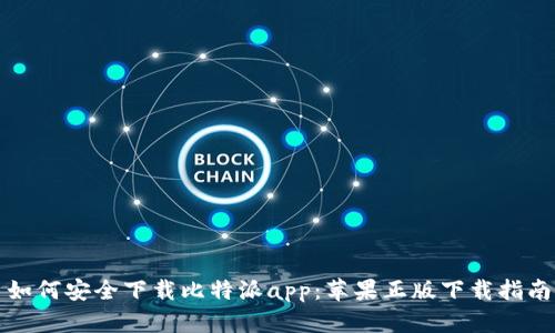 如何安全下载比特派app：苹果正版下载指南