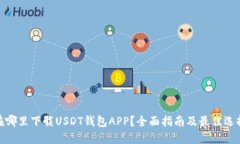 在哪里下载USDT钱包APP？全