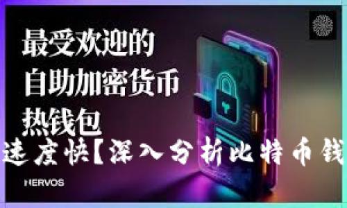 哪个比特币钱包速度快？深入分析比特币钱包的性能与选择