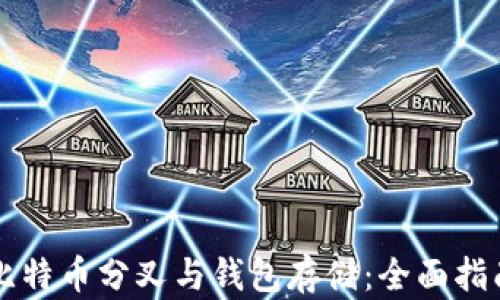 
比特币分叉与钱包存储：全面指南