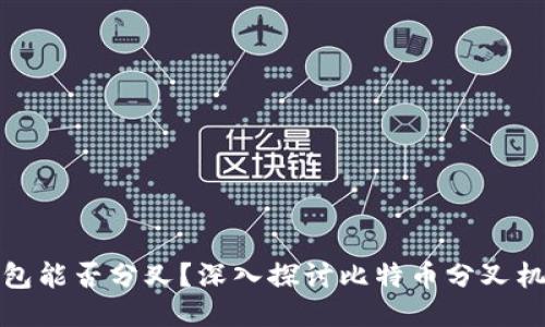比特币放钱包能否分叉？深入探讨比特币分叉机制及其影响
