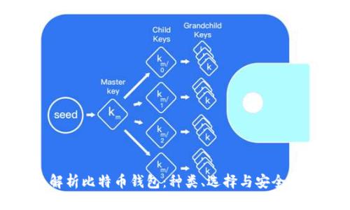 全面解析比特币钱包：种类、选择与安全性攻略