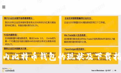 国内比特币钱包的现状及下载指南