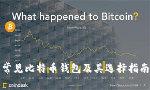 常见比特币钱包及其选择指南