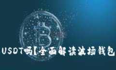 波场钱包能收USDT吗？全面