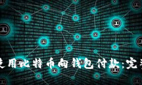 如何使用比特币向钱包付款：完整指南