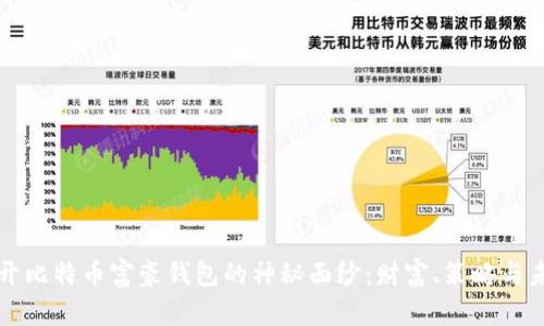 揭开比特币富豪钱包的神秘面纱：财富、策略与未来