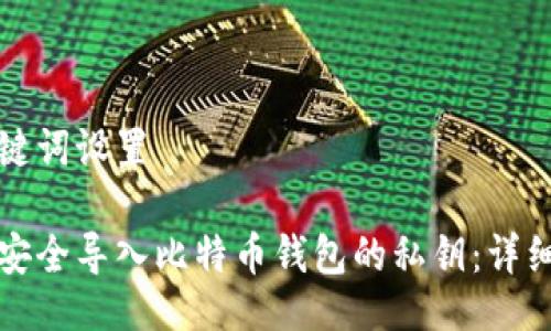 与关键词设置

如何安全导入比特币钱包的私钥：详细指南