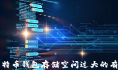解决比特币钱包存储空间