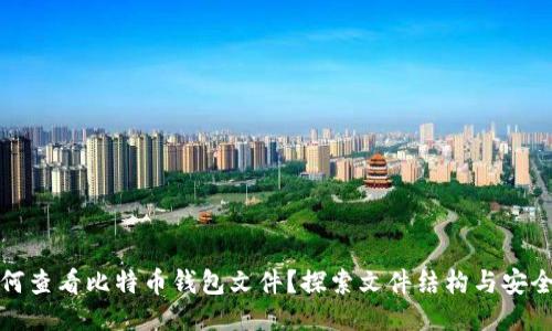 如何查看比特币钱包文件？探索文件结构与安全性