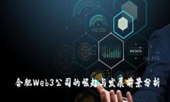  合肥Web3公司的崛起与发展