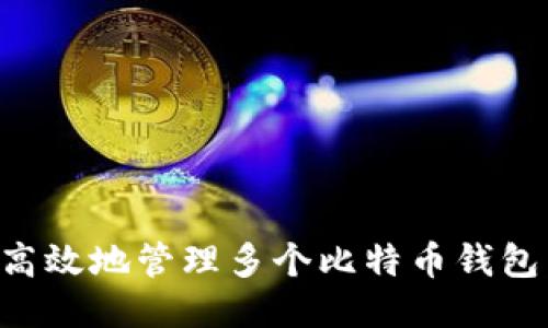 如何安全高效地管理多个比特币钱包：终极指南