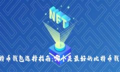 比特币钱包选择指南：哪