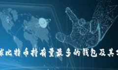 全球比特币持有量最多的