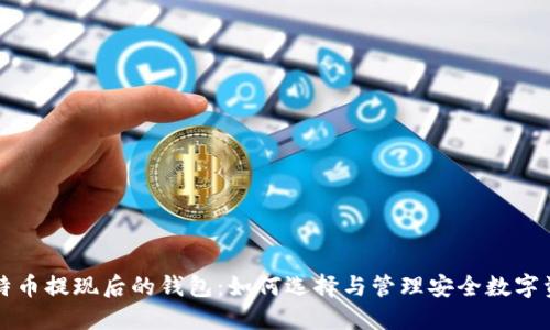 比特币提现后的钱包：如何选择与管理安全数字资产