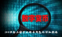 iOS设备上安装比特币钱包的详细指南