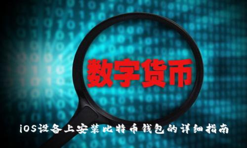 iOS设备上安装比特币钱包的详细指南