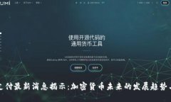 比特支付最新消息揭示：