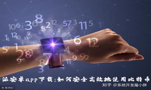 比特派安卓app下载：如何安全高效地使用比特币钱包