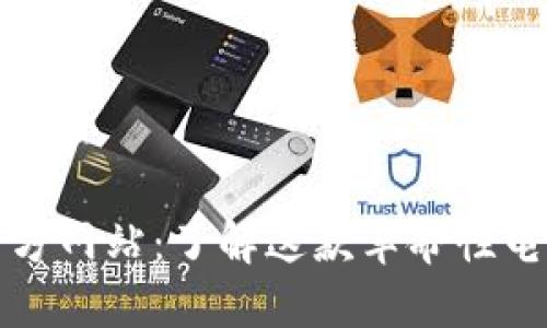 比特支付官方网站：了解这款革命性电子支付软件