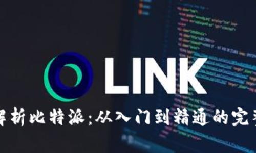 全面解析比特派：从入门到精通的完整教程