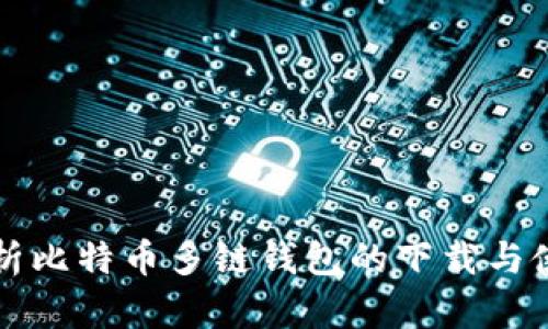 全面解析比特币多链钱包的下载与使用指南