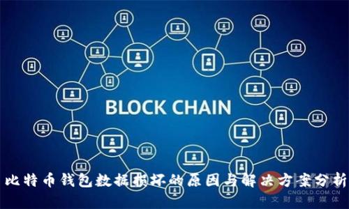 比特币钱包数据损坏的原因与解决方案分析