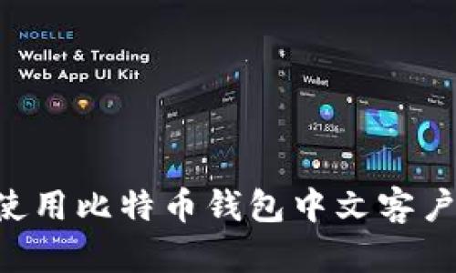 如何选择和使用比特币钱包中文客户端：全面指南