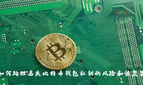 : 如何处理丢失比特币钱包私钥的风险和恢复策略