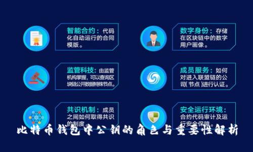 比特币钱包中公钥的角色与重要性解析