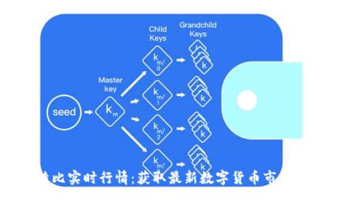 比特比实时行情：获取最新数字货币市场动态