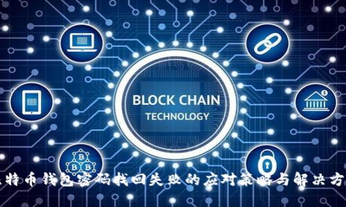 比特币钱包密码找回失败的应对策略与解决方案