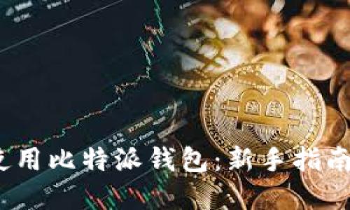 如何在2021年使用比特派钱包：新手指南与使用视频解说