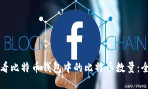 如何查看比特币钱包中的比特币数量：全面指南