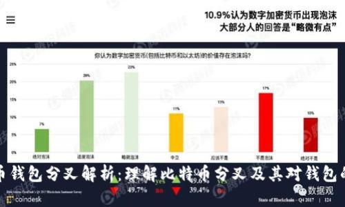 比特币钱包分叉解析：理解比特币分叉及其对钱包的影响