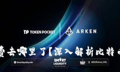 比特币钱包交易费去哪里了？深入解析比特币交易费用的流向