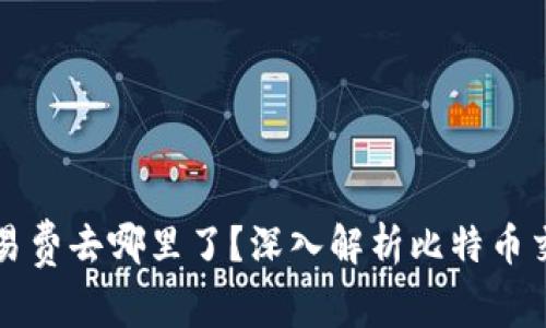 比特币钱包交易费去哪里了？深入解析比特币交易费用的流向