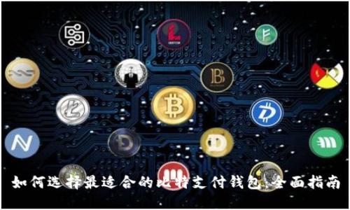 如何选择最适合的比特支付钱包：全面指南